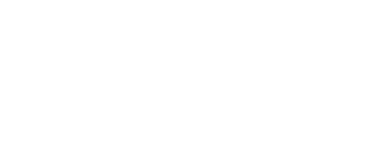 segurointeligente.mx